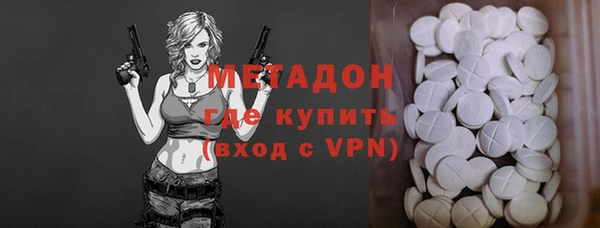 гидра Богородицк