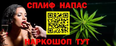 прущие грибы Будённовск