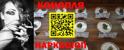 ПСИЛОЦИБИНОВЫЕ ГРИБЫ Канаш