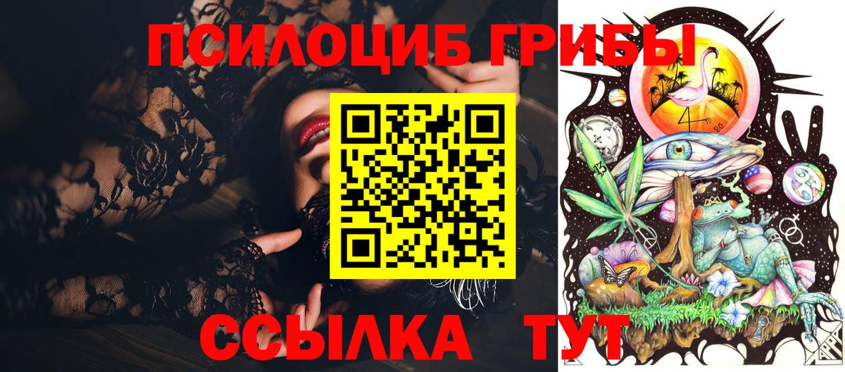 цены наркотик  Корсаков  Галлюциногенные грибы Magic Shrooms 