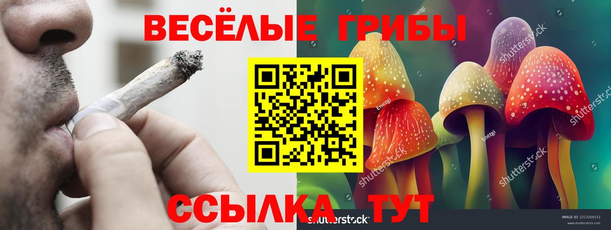 Галлюциногенные грибы Psilocybe  Вход с VPN  Корсаков  Псилоцибиновые грибы Cubensis 